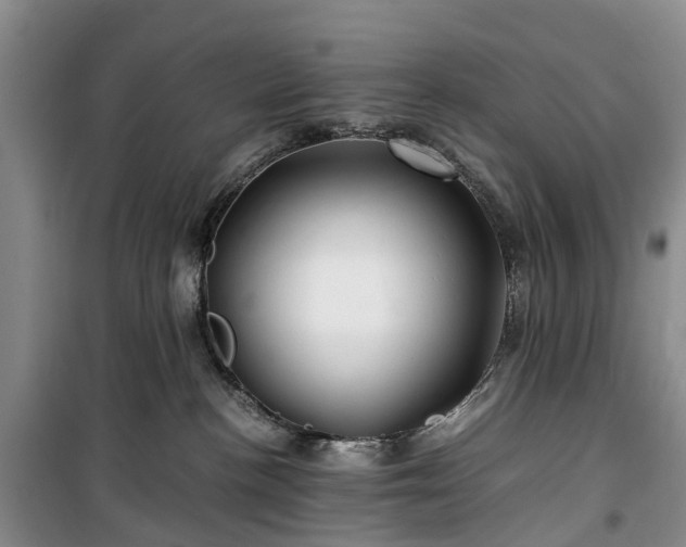 X0000100380188200806131108