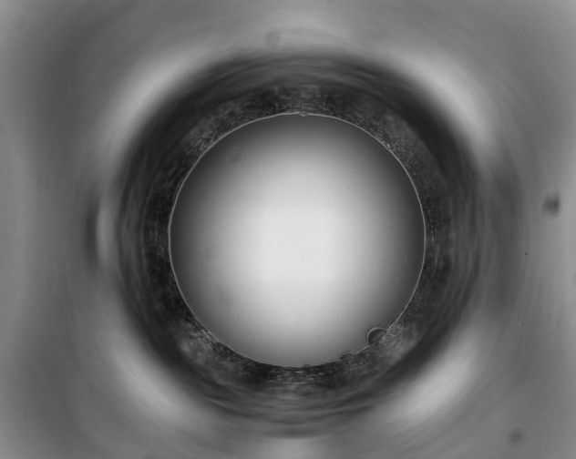 X0000100380189200806131108