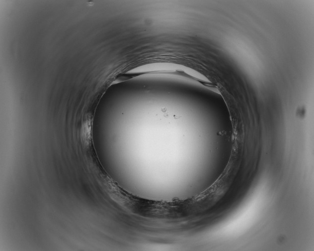 X0000100380190200806131108