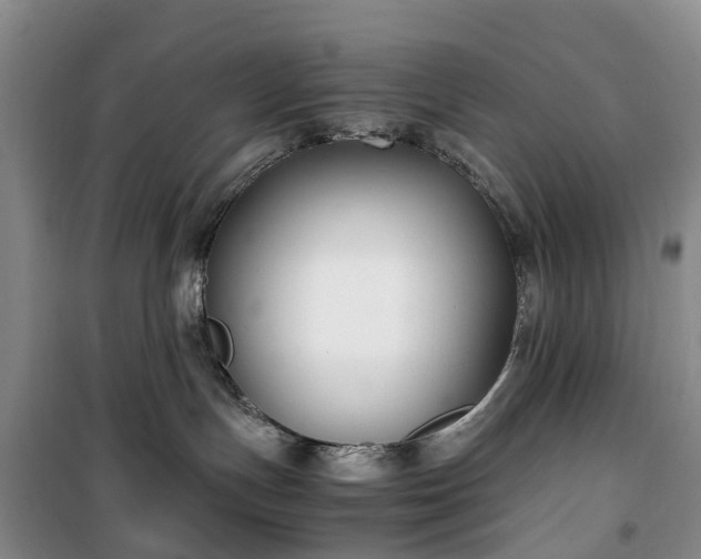 X0000100380191200806131108
