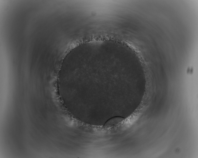 X0000100380192200806131108