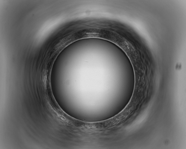 X0000100380194200806131107