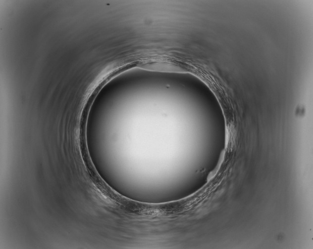 X0000100380195200806131107