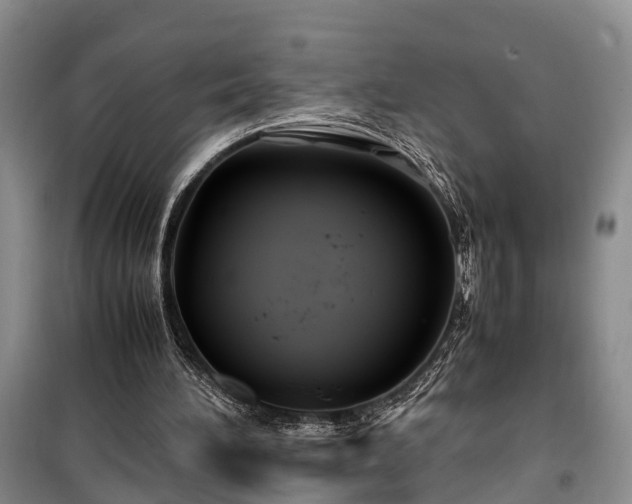 X0000100380196200806131107