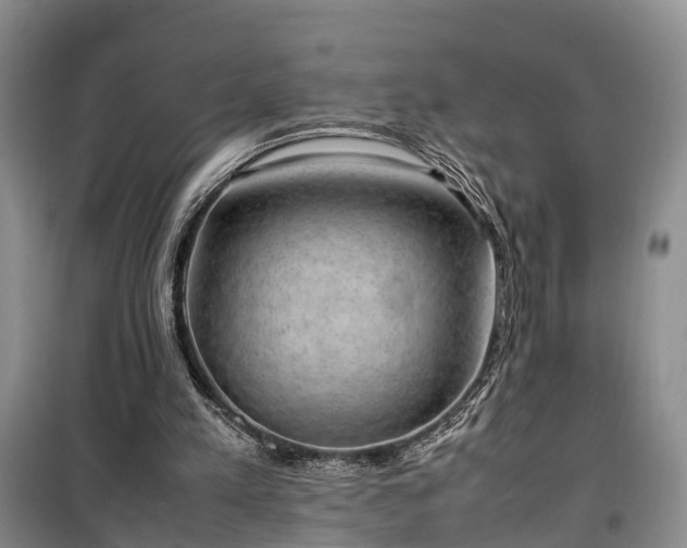 X0000100380197200806131107