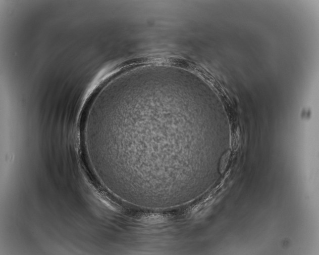 X0000100380198200806131107