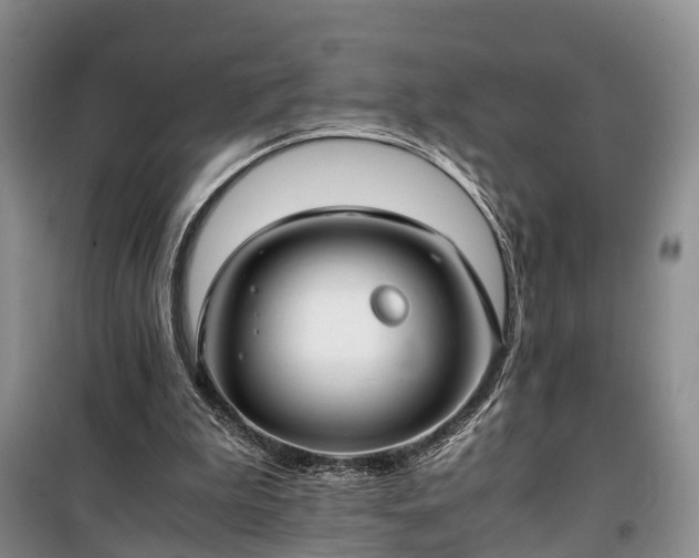 X0000100380199200806131107