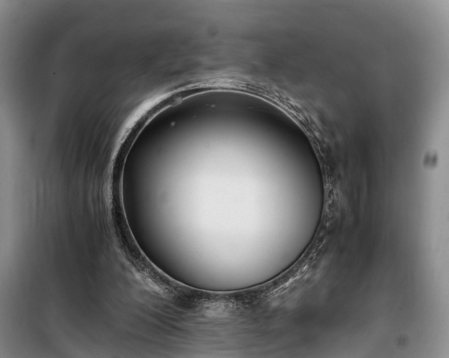 X0000100380200200806131107