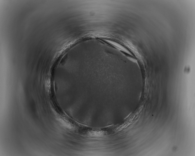 X0000100380202200806131107