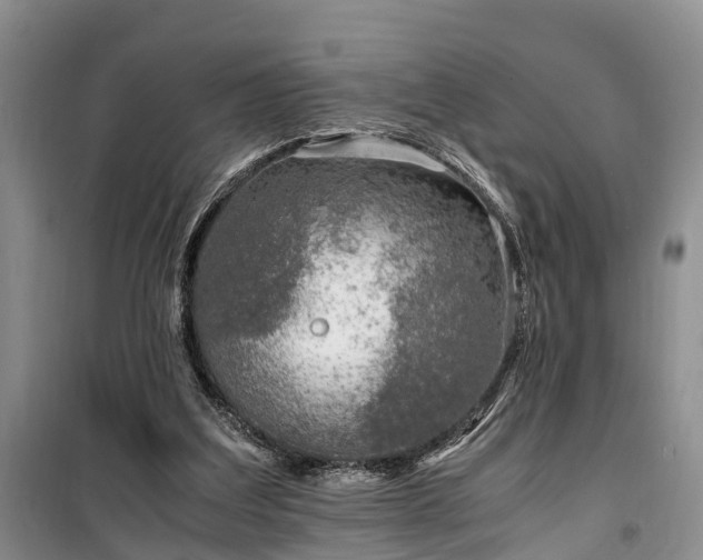 X0000100380203200806131107