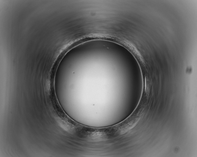 X0000100380204200806131107