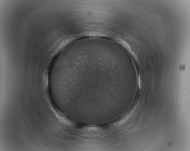 X0000100380205200806131107