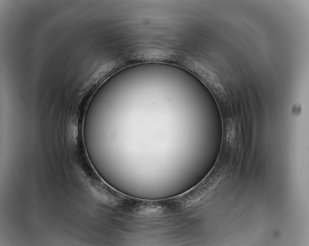 X0000100380206200806131107
