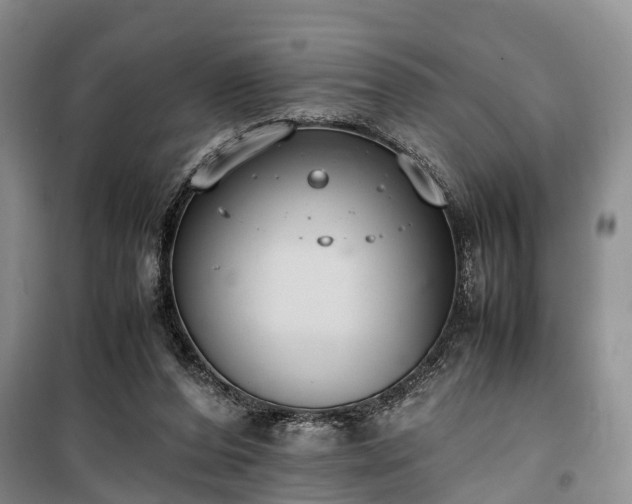 X0000100380208200806131107