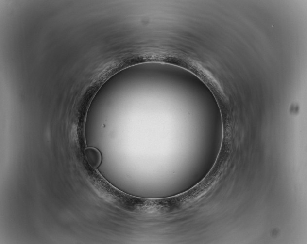X0000100380209200806131107