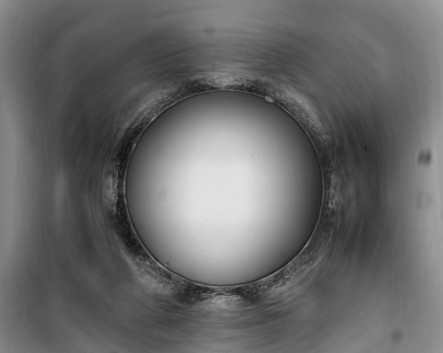 X0000100380210200806131107