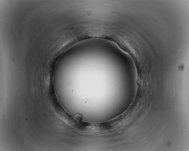 X0000100380211200806131107