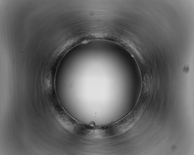 X0000100380212200806131107