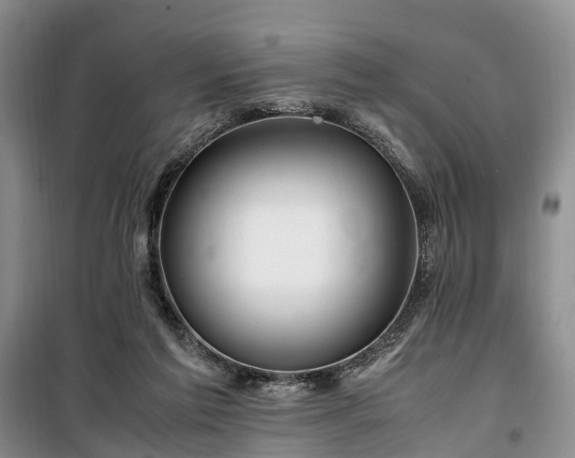 X0000100380213200806131107