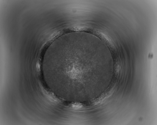 X0000100380214200806131107