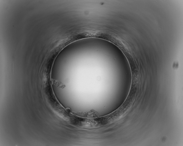 X0000100380215200806131107