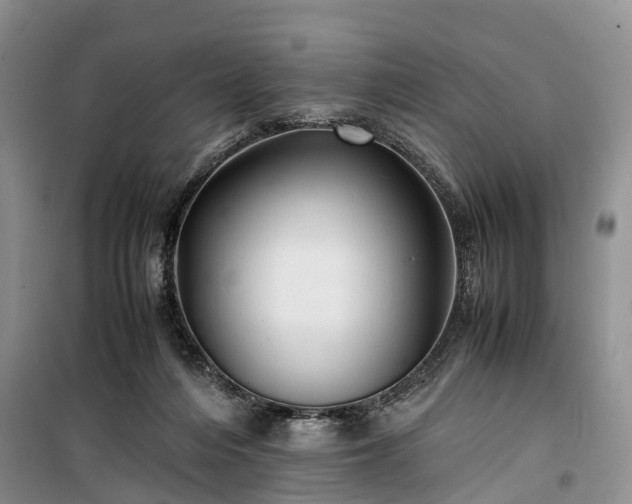 X0000100380216200806131107