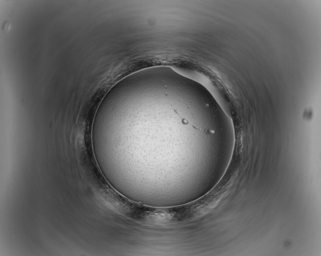 X0000100380217200806131107