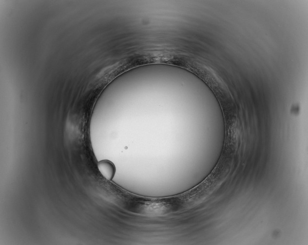 X0000100380218200806131107