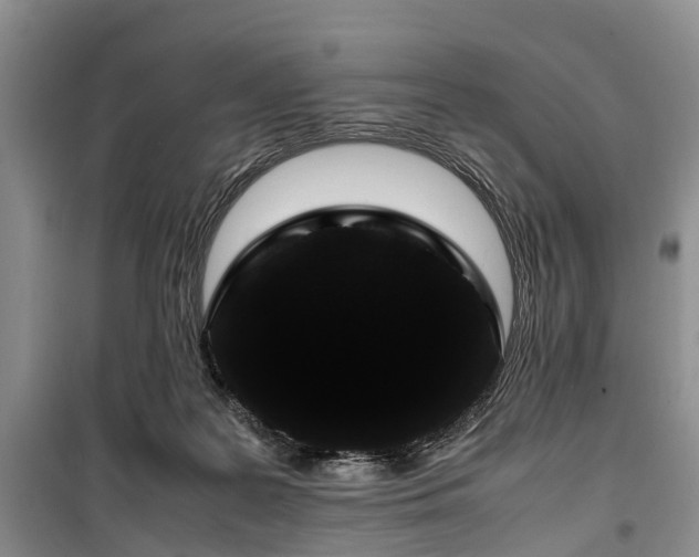 X0000100380219200806131107