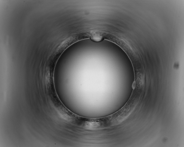 X0000100380220200806131107