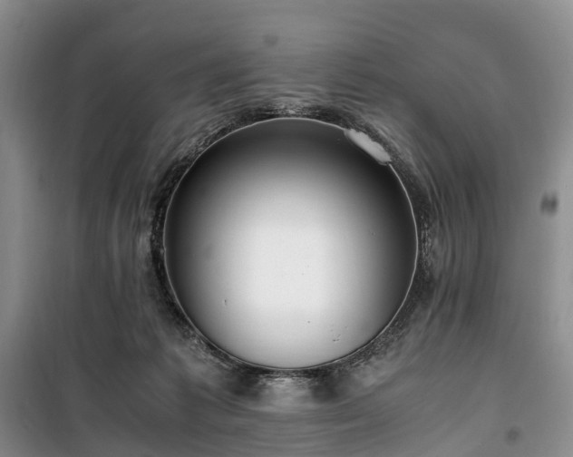 X0000100380221200806131107