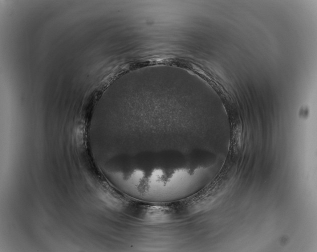 X0000100380222200806131107