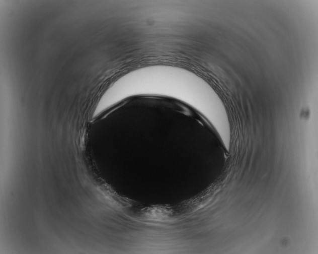 X0000100380223200806131107