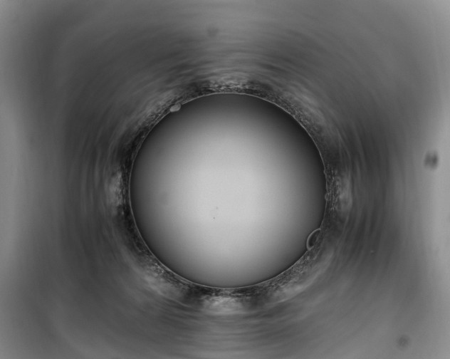 X0000100380224200806131107