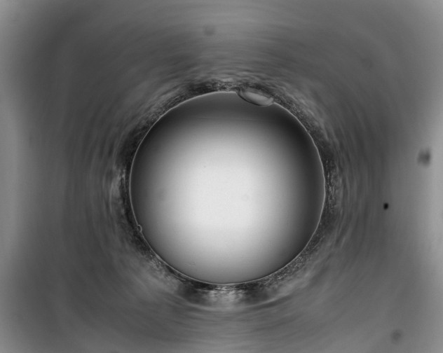 X0000100380225200806131107