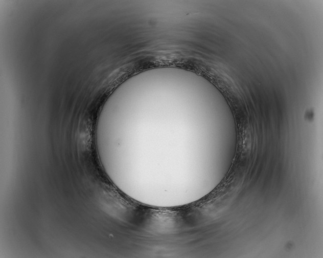 X0000100380226200806131107