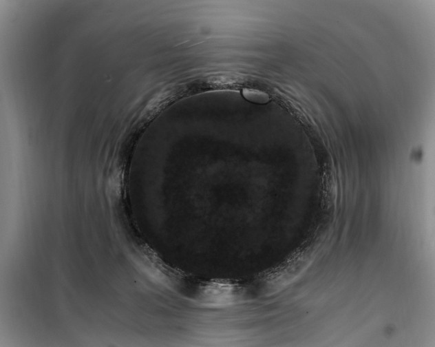 X0000100380227200806131107