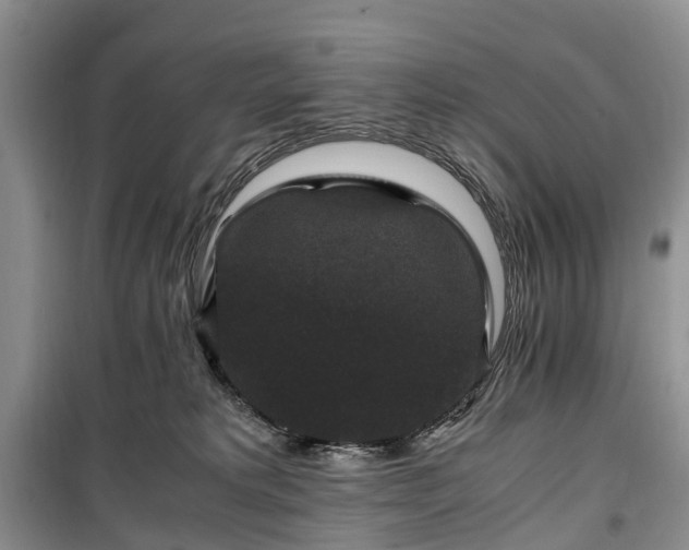 X0000100380229200806131107