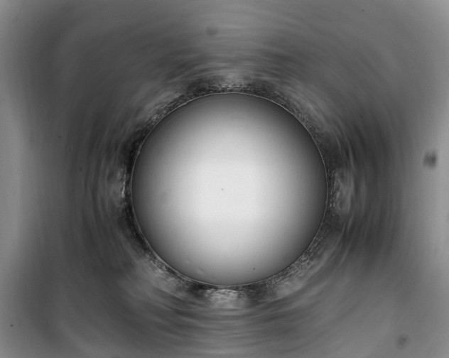 X0000100380230200806131106