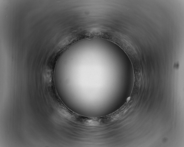 X0000100380232200806131106
