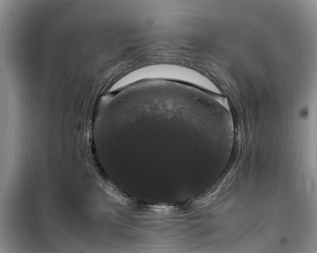 X0000100380233200806131106