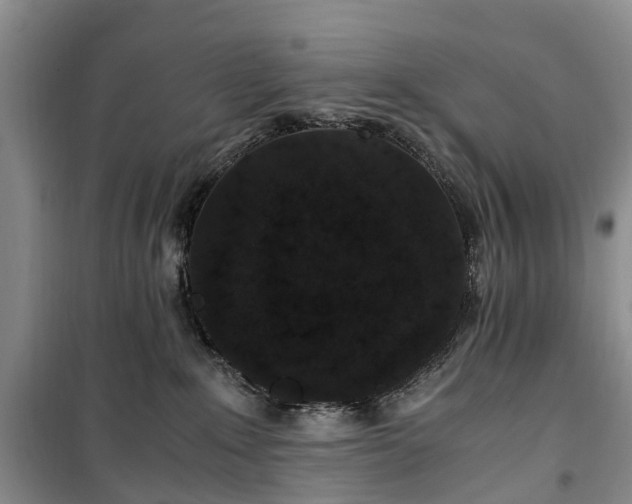 X0000100380235200806131106