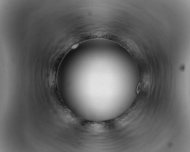 X0000100380236200806131106