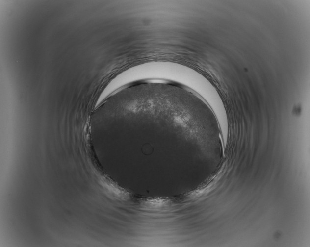 X0000100380237200806131106