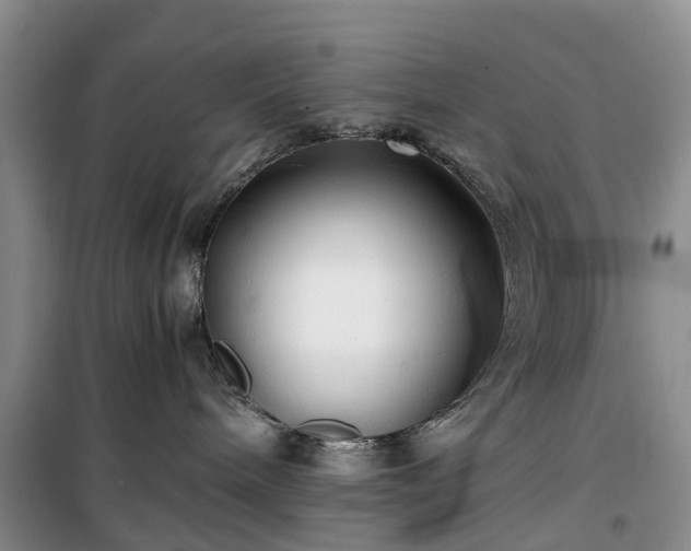 X0000100380240200806131106