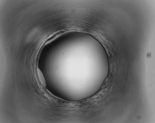 X0000100380241200806131106