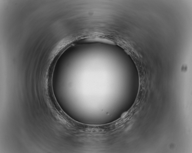 X0000100380242200806131106