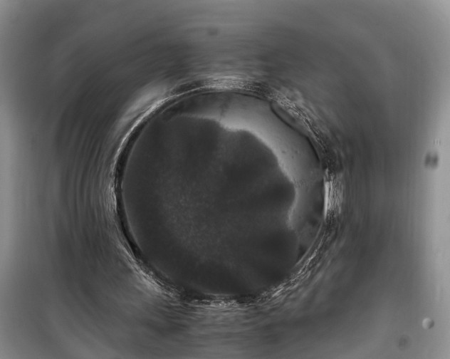 X0000100380243200806131106