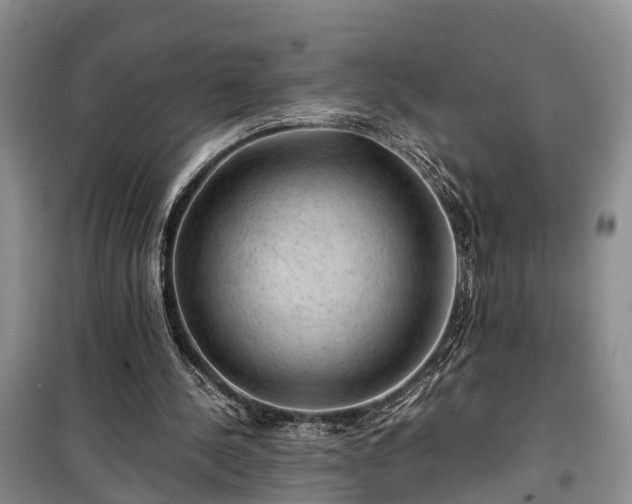 X0000100380244200806131106