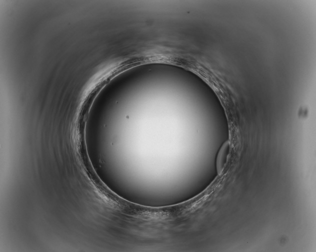 X0000100380245200806131106